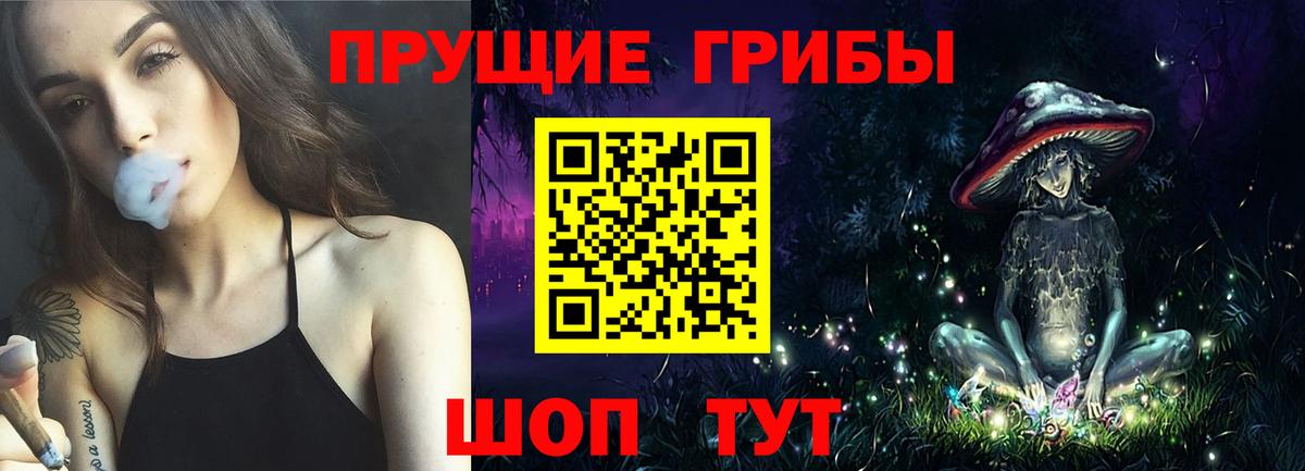 Псилоцибиновые грибы Psilocybe Тверь